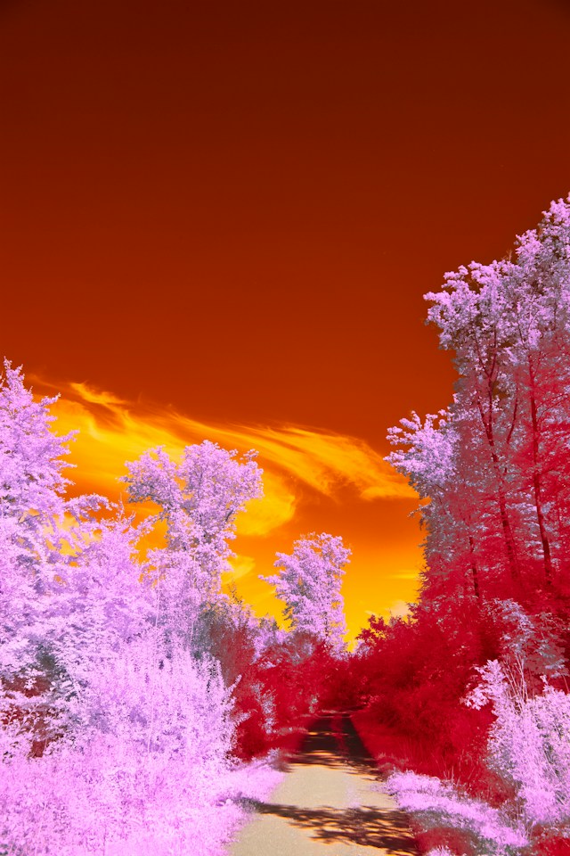 The Transformative Effects Of Infrared Light On Skin Health