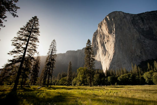 Grounding used to be nature's remedy. Let's bring it back