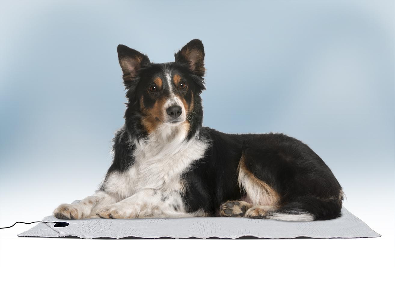 BioShield Pet Floor Mat bioshield-pet-floor-mat