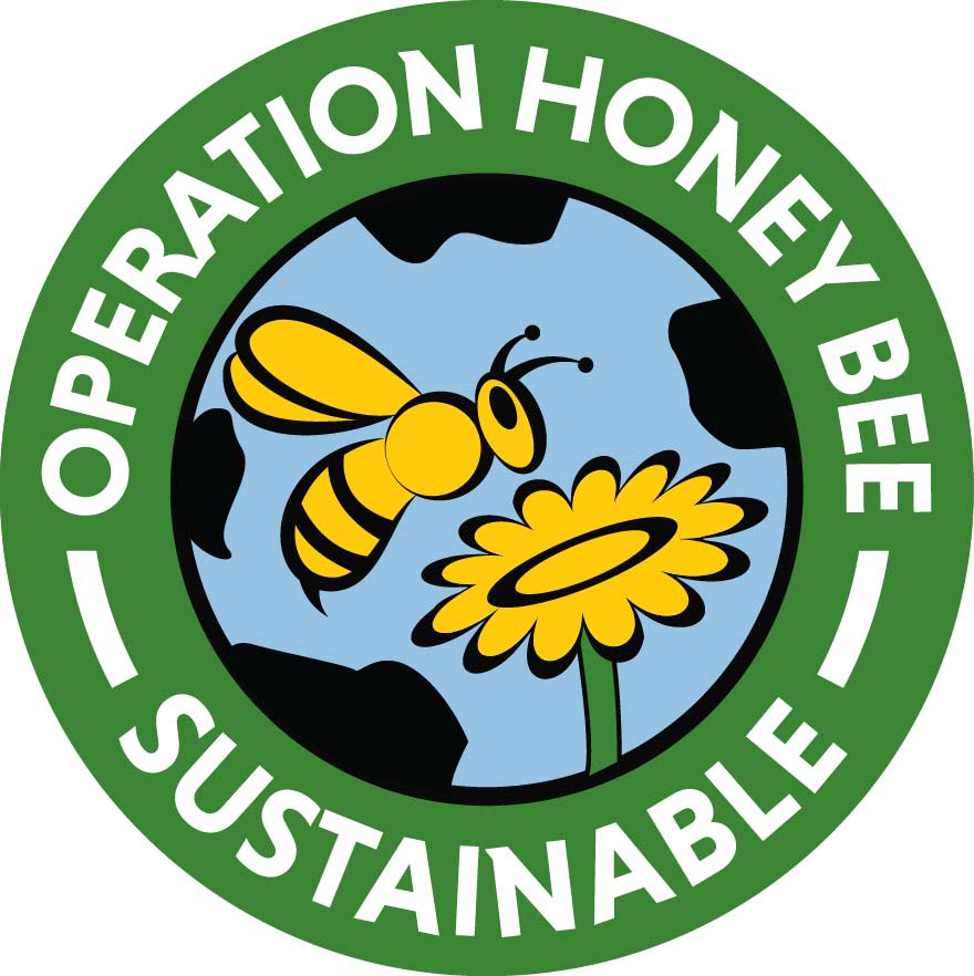 Honey-Help Save the Bees